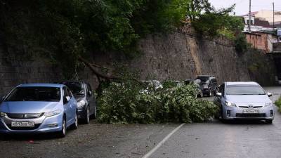 Более 400 человек ликвидируют последствия тайфуна Майсак в Приморье