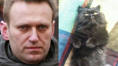 Манукян: Навального мог отравить выживший кот Скрипалей