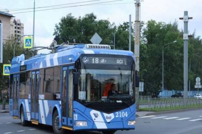 Петербург готовится к транспортной реформе: в городе появятся экологически чистые виды общественного транспорта