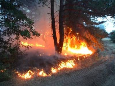 Масштабный очаг возгорания на Луганщине распространился с территории РФ