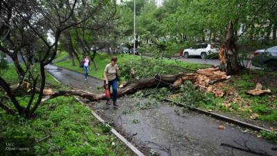 Жители Владивостока наблюдают самый мощный за последние 50 лет ураган