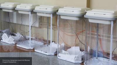 Координатор "Голоса" Карезина обучает наблюдателей "Умного голосования"