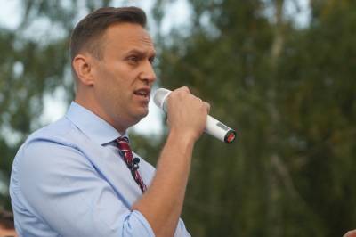 «Навального действительно отравили "Новичком"»: Мартынов о санкциях РФ в отношении Германии