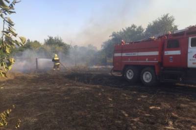 Площадь природных пожаров в Ростовской области увеличилась до 850 га