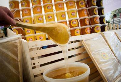 В потребительском проекте "Тест" проверят сорта российского меда