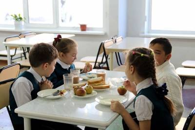 ОНФ будет контролировать качество питания младших школьников