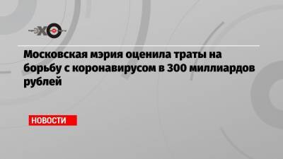 Московская мэрия оценила траты на борьбу с коронавирусом в 300 миллиардов рублей