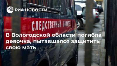 В Вологодской области погибла девочка, пытавшаяся защитить свою мать
