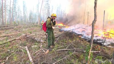 Площадь лесных пожаров в Ростовской области достигла 900 га