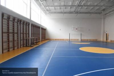 Более 200 школьных спортзалов отремонтировали на Кубани за пять лет