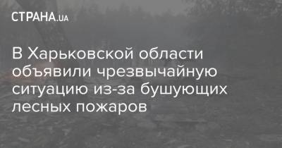 В Харьковской области объявили чрезвычайную ситуацию из-за бушующих лесных пожаров