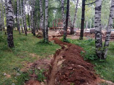 ОНФ обратился в прокуратуру из-за деревьев, поврежденных во время благоустройства в Нижнем Новгороде