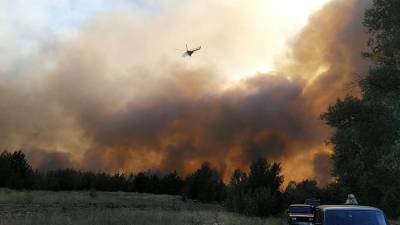 "Мы все испугались": жители Ростовской области вышли на борьбу с лесными пожарами