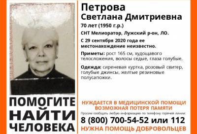 В Ленобласти ищут 70-летнюю пенсионерку из Лужского района
