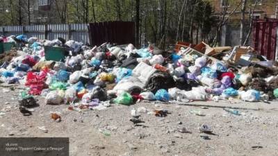 Счетная палата оценила мощность мусорных полигонов в России