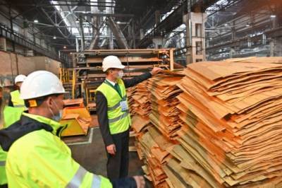 Дальневосточный центр переработки древесины начнет работу в Хабкрае