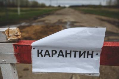 В деревне Смоленской области продлили карантин из-за опасного заболевания овец