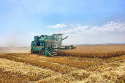 Ивановским аграриям есть, чем гордиться: урожайность зерновых превышает 25 центнеров с гектара