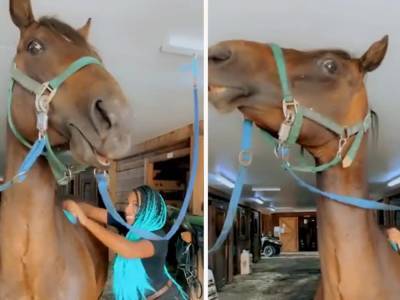 Смешная реакция лошади на «почесушки» хозяйки вызвала восторг в Сети