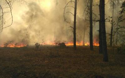 В Краматорске сгорели гектары ландшафтного парка