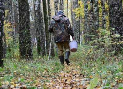 В Смоленском районе в лесу заблудился 66-летний мужчина