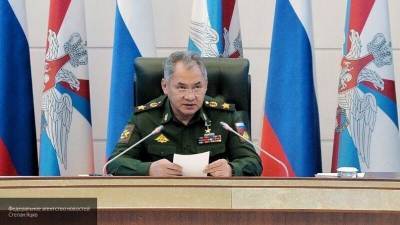 Шойгу назвал число ликвидированных Россией боевиков в Сирии