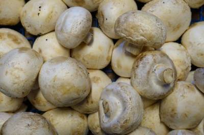 11 тонн потенциально опасных грибов пытались продать в Воронеже