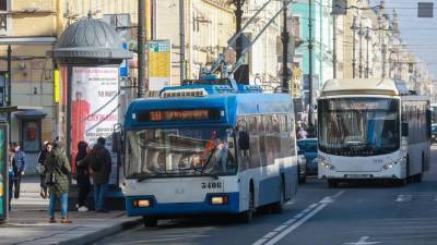 В Петербурге дополнительно запустят 128 выделенных полос для автобусов