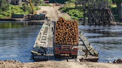 Путин поручил запретить вывоз необработанных лесоматериалов