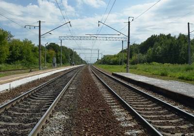 С начала года на Рязанском направлении железной дороги погибли 66 человек