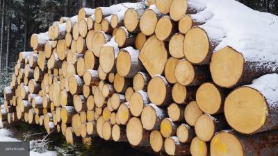 Путин запретил экспорт необработанного леса ценных пород с 2022 года