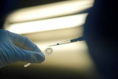 РФПИ договорился о поставке 25 млн доз вакцины от коронавируса в Египет
