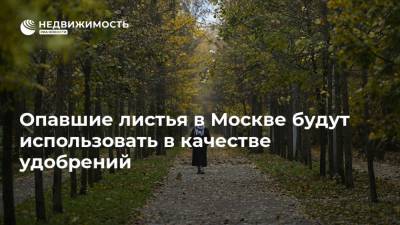 Опавшие листья в Москве будут использовать в качестве удобрений