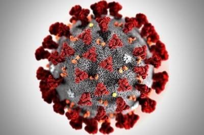 В России выявили 8481 новый случай коронавируса