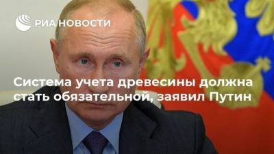Система учета древесины должна стать обязательной, заявил Путин