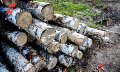 Путин поручил запретить вывоз леса из России