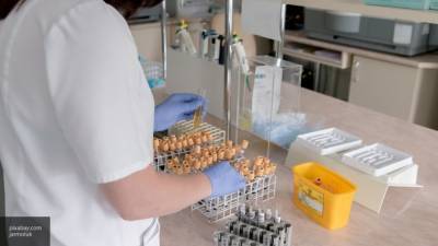 Обследование на коронавирус прошли 26 652 жителя Петербурга за сутки
