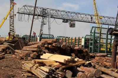 Путин поручил полностью запретить вывоз из РФ необработанной древесины