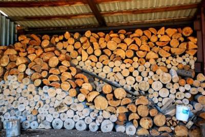 Пожилым москвичам предложили льготные цены на дрова в период изоляции на даче