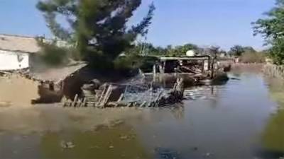 В Мары неурожай хлопка из-за затопления в результате прорыва плотины в июне