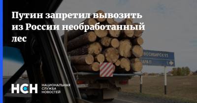 Путин запретил вывозить из России необработанный лес