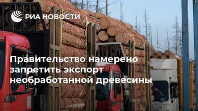 Правительство намерено запретить экспорт необработанной древесины