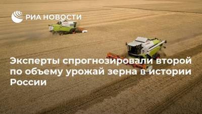 Эксперты спрогнозировали второй по объему урожай зерна в истории России