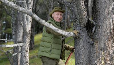 Путин хочет полностью запретить вывозить лес из России