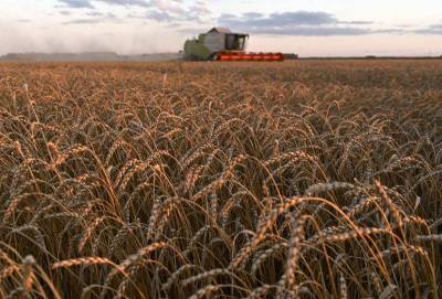 Урожай зерна в РФ в 20г составит 132-133 млн т, но перспективы урожая 21г вызывают беспокойство -- РЗС