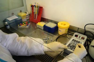 В Кемерове открыли ещё одну лабораторию для проведения тестов на коронавирус