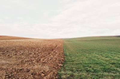 В России планируют вовлечь в сельхозоборот более 12 млн га неиспользуемых земель