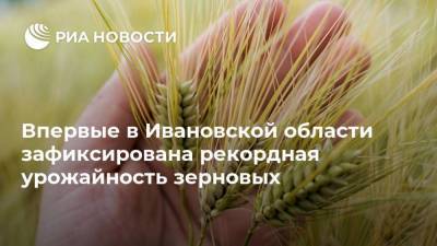 Впервые в Ивановской области зафиксирована рекордная урожайность зерновых