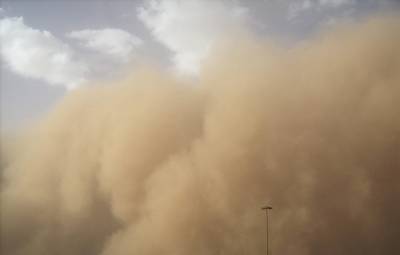 Песчаная буря пришла в Ростов из Калмыкии и Казахстана