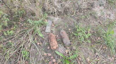 Житель Барановичского района нашел в саду два снаряда времен войны